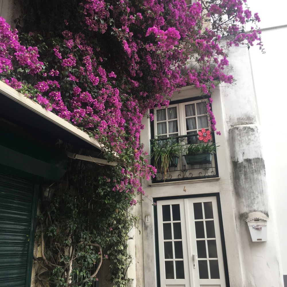 Meet your Posher, Fariba